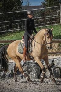 Photo cheval a monter LIRIO DO ELAR
