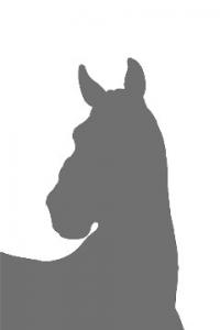 Photo cheval a vendre JABUTA MENEZES