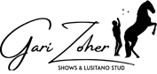 logo partenaire AFL Gari Zoher