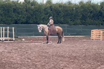 image cheval