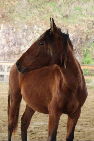 Photo portait TIA DE CENVES