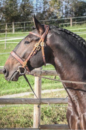 Photo portait QUARTZO DA AJUDA