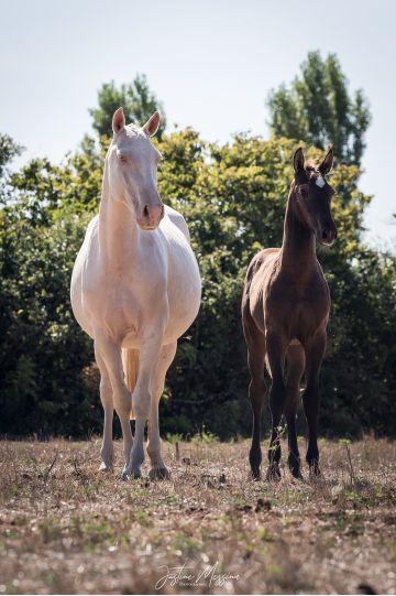 Photo portait QUALISTA DU CASTEL