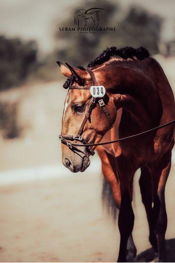 Photo portait ROMéO DU FESQUET