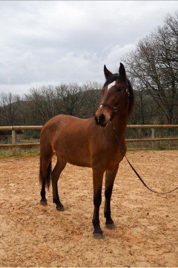 Photo portait ROMY DU FESQUET