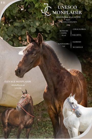 Photo portait UNESCO MONPLAISIR