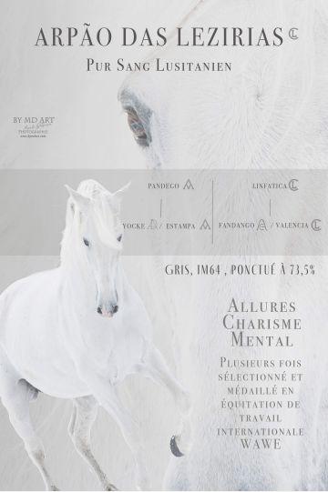 Photo portait ARPAO DAS LEZIRIAS CL(PT)